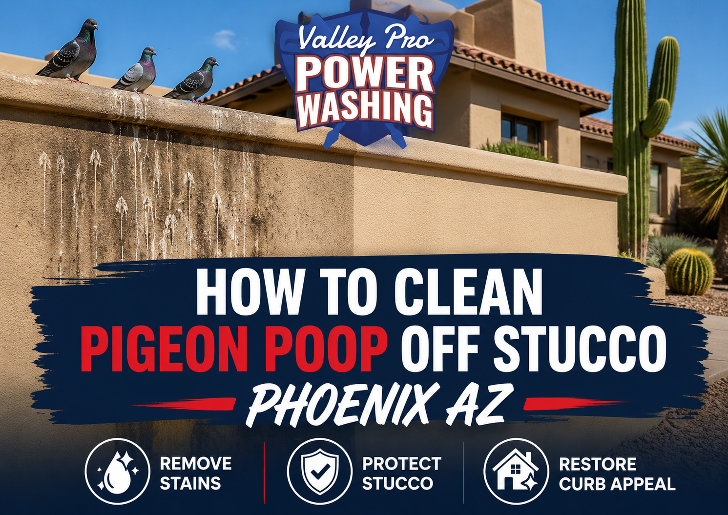 Pigeon poop cleanup ad for Valley Pro Power Washing on a stucco wall in Phoenix, AZ