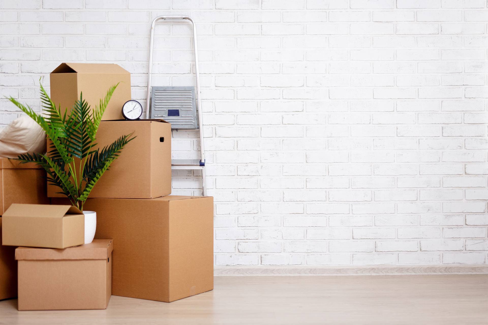 Packed moving boxes and a ladder beside a potted plant in a bright, empty room
