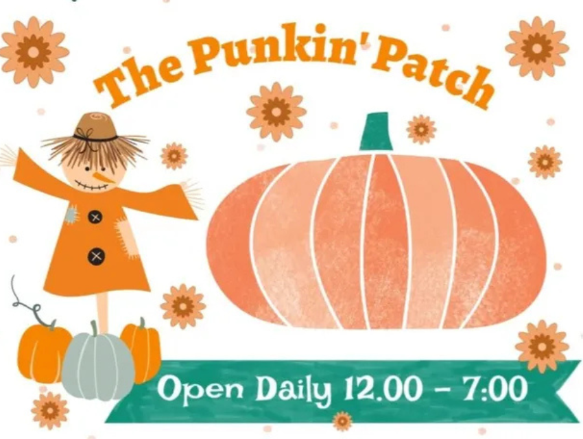 An advertisement for the punkin patch shows a scarecrow and pumpkins