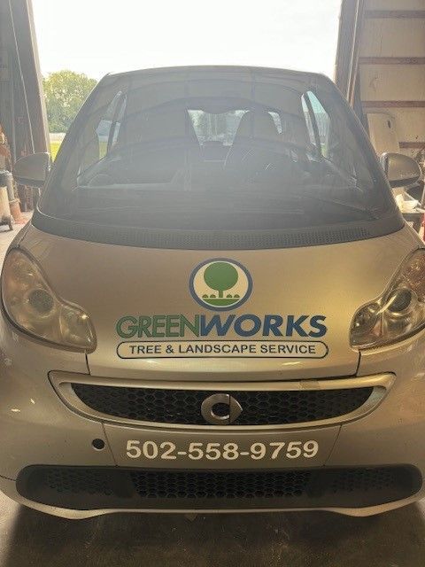 A smart car with a sticker on the front that says greenworks tree and landscape service.
