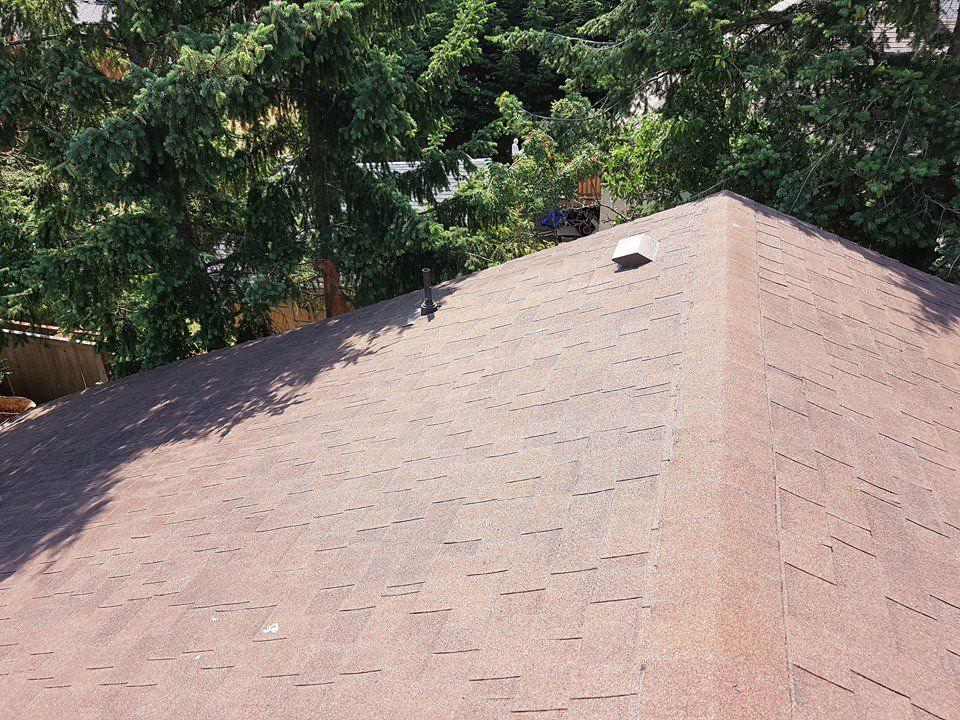 victoria bc roof moss removal services and more