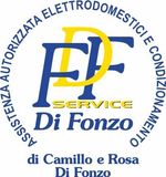 Di Fonzo Service logo