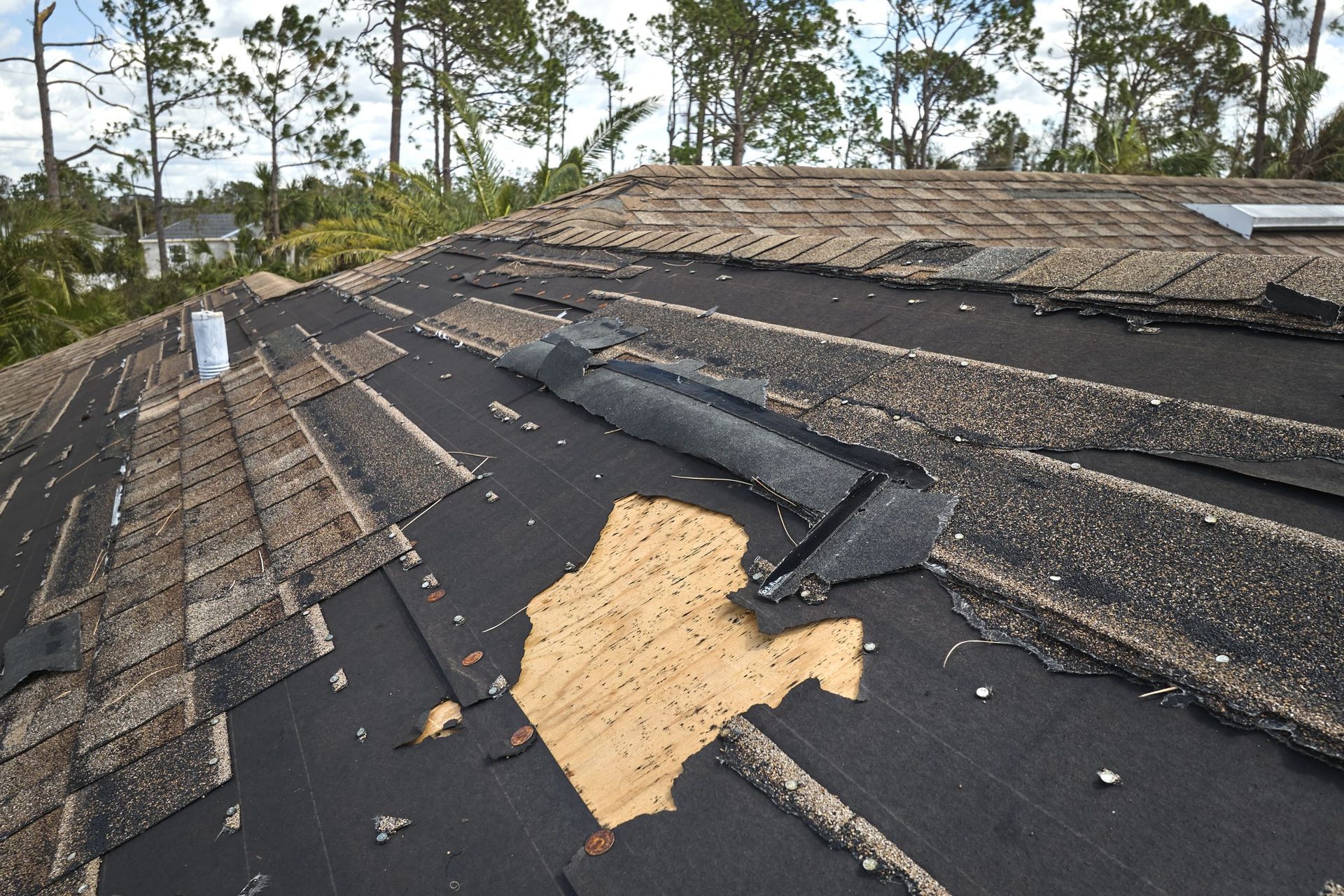 Asphalt shingle roof aging in Florida heat