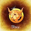 Horoskop Stier