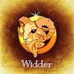 Horoskop Widder heute