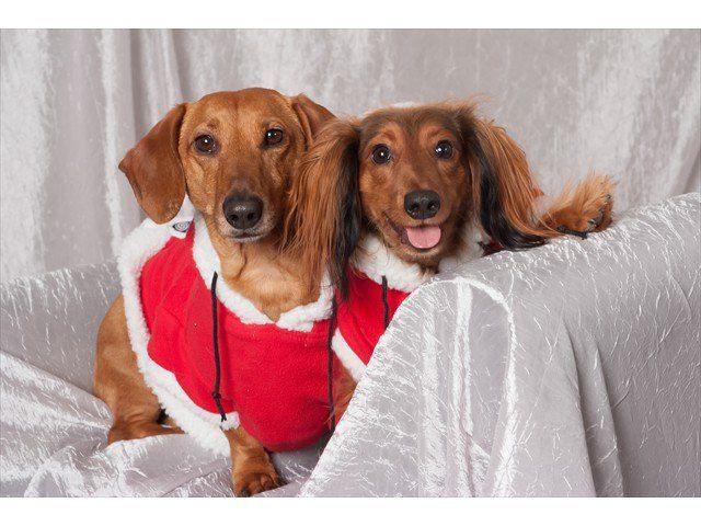 Portrait photo example 13