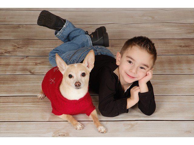 Portrait photo example 7