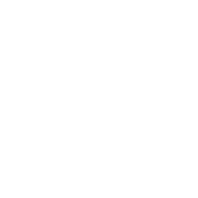 Bagels 101
