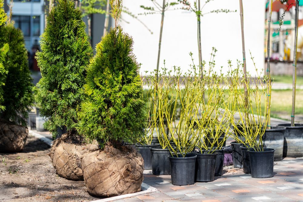 Tree Planting Gui