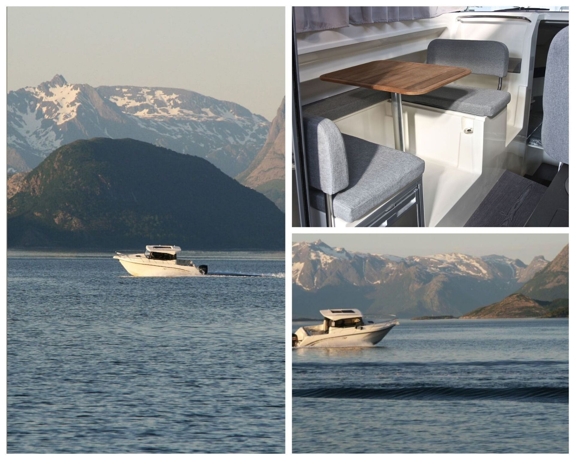 dino line imbarcazioni
