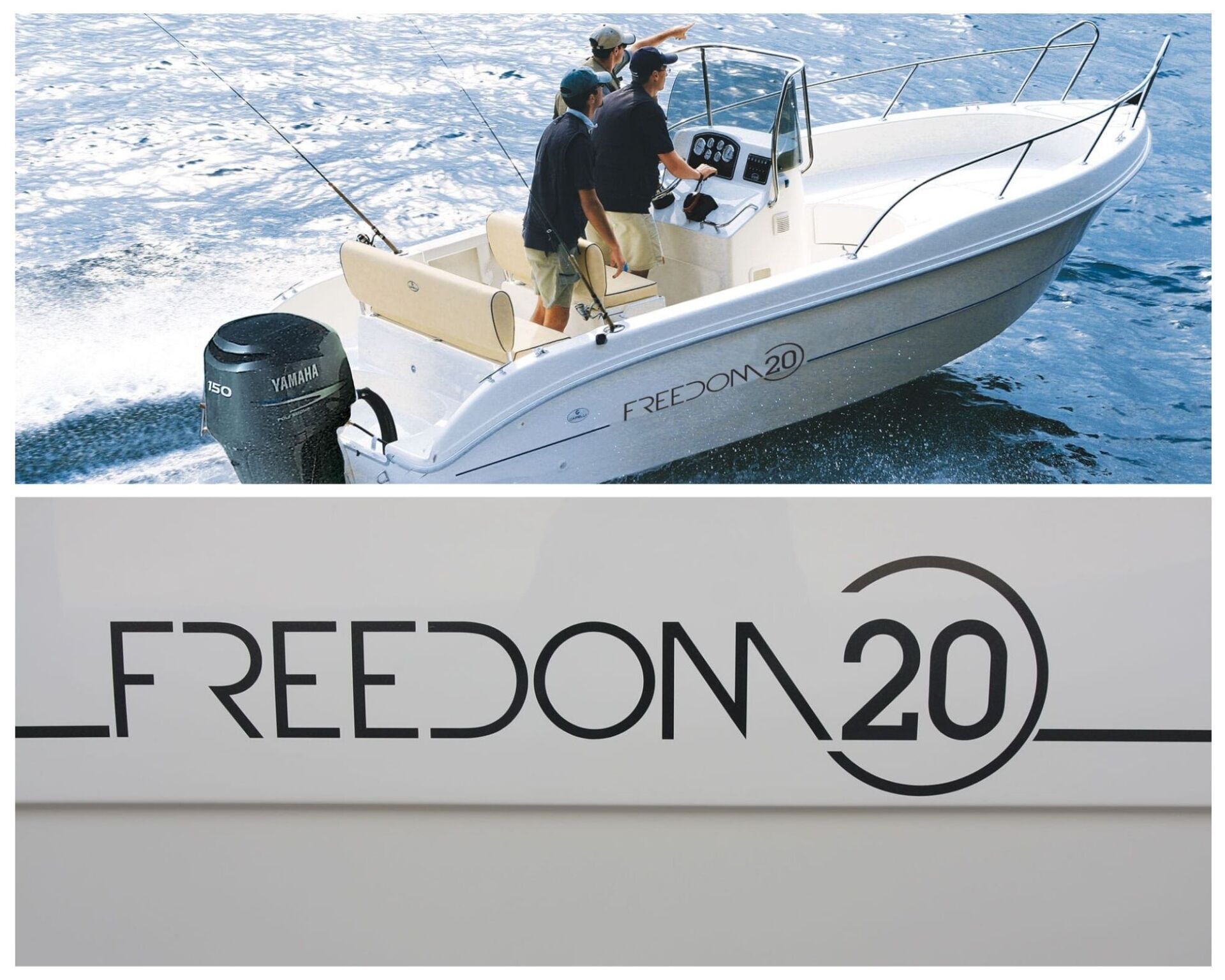 freedom line imbarcazioni