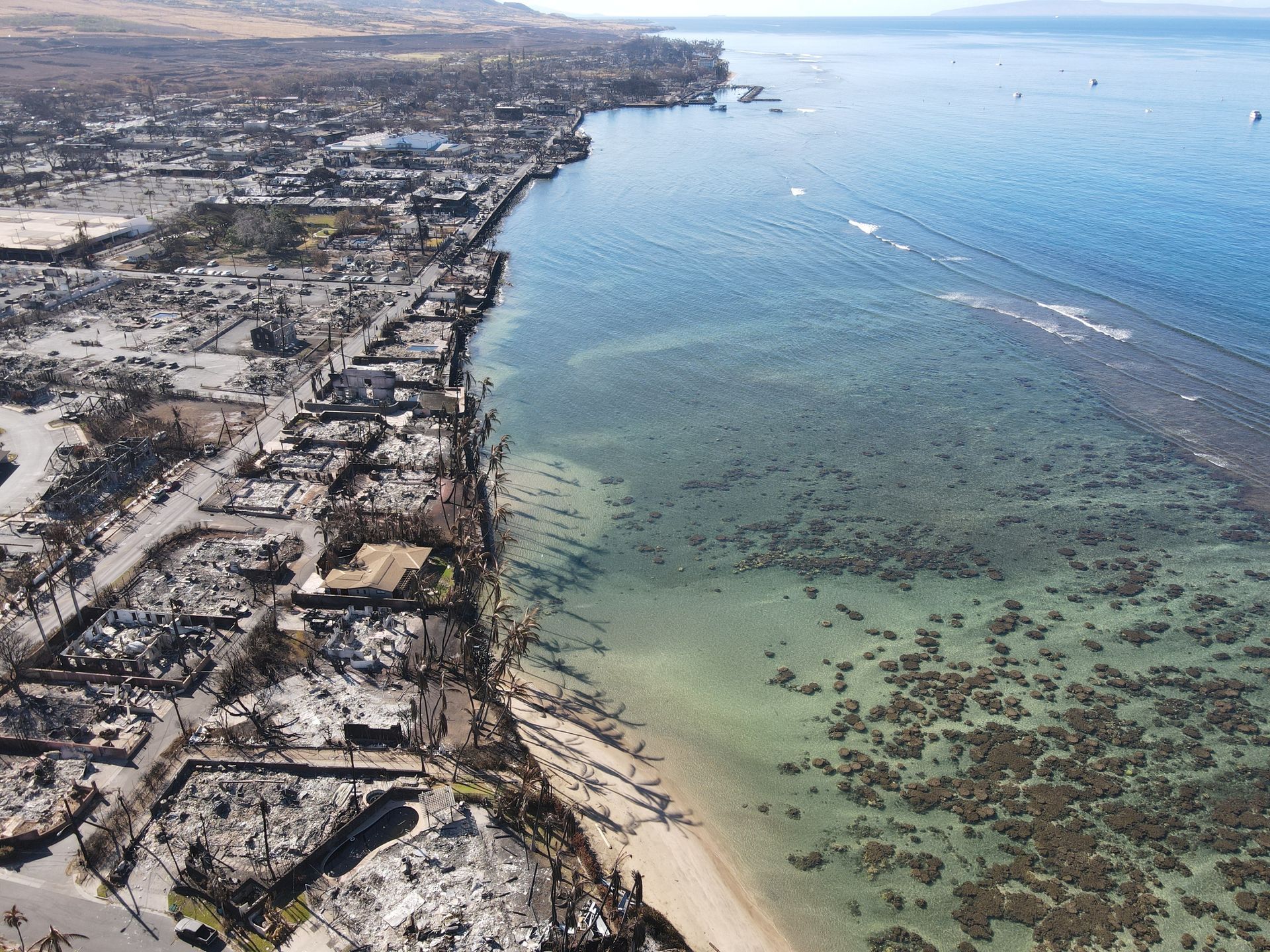 The fires in Maui are a preview of the damage unchecked climate change will cause to Hawai'i.