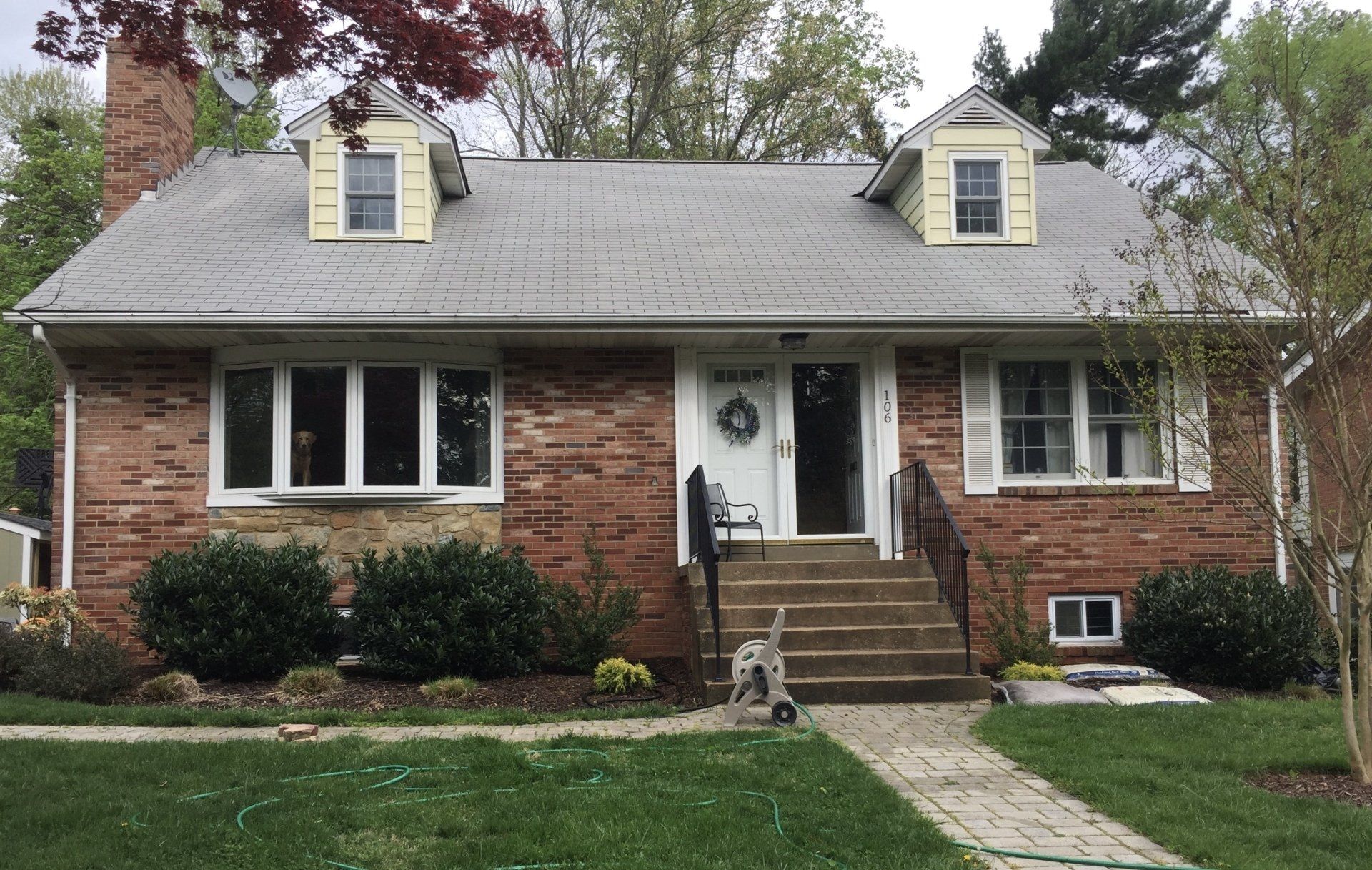 Roof algae removal in Bethesda, MD