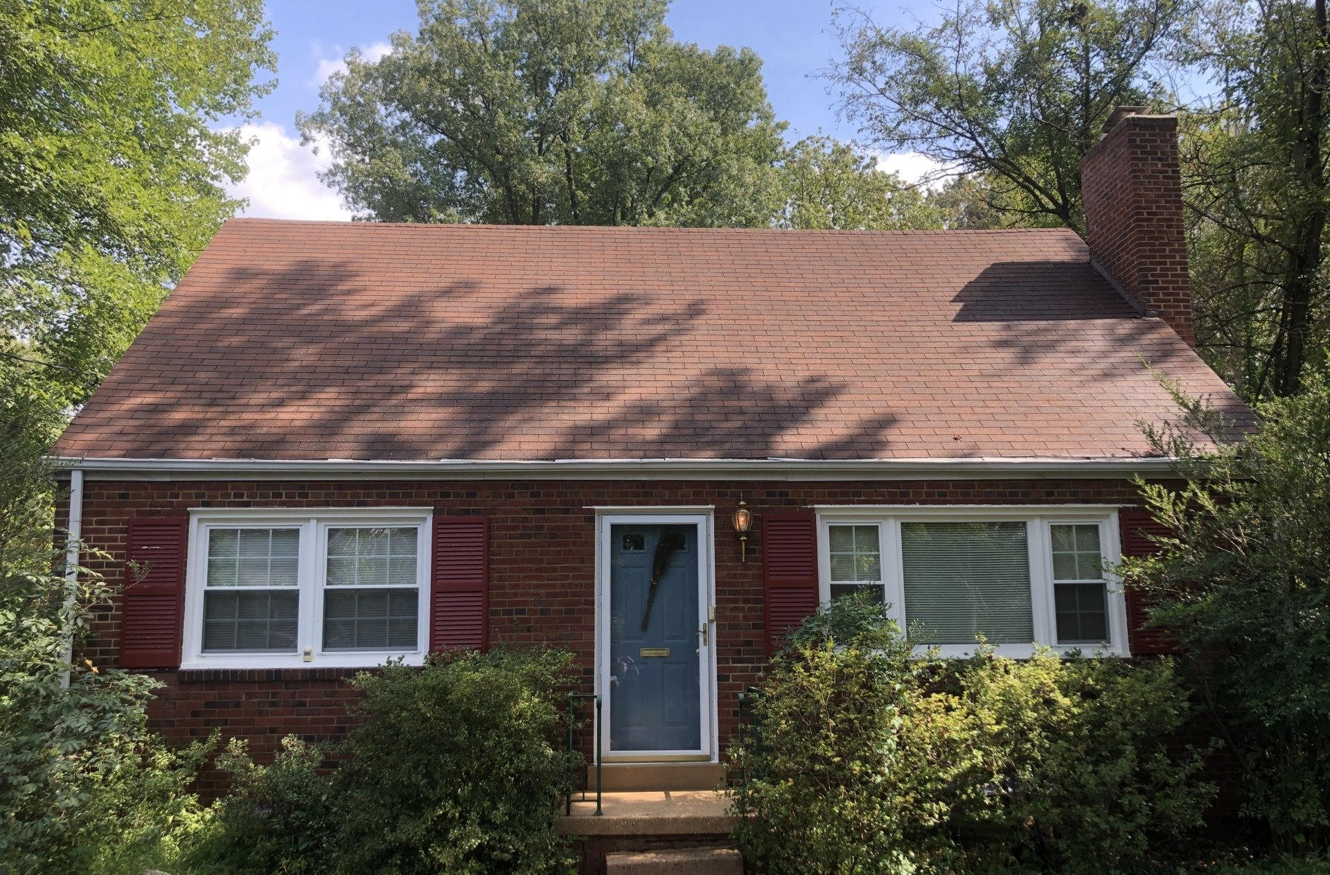 roof moss removal Mt Airy, MD