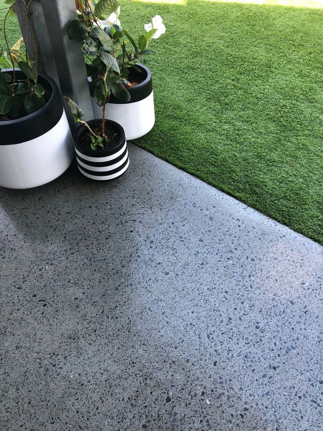 A couple of potted plants sitting on top of a concrete floor