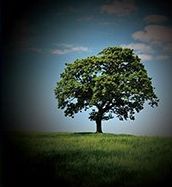GLAUCOMA SERVICES