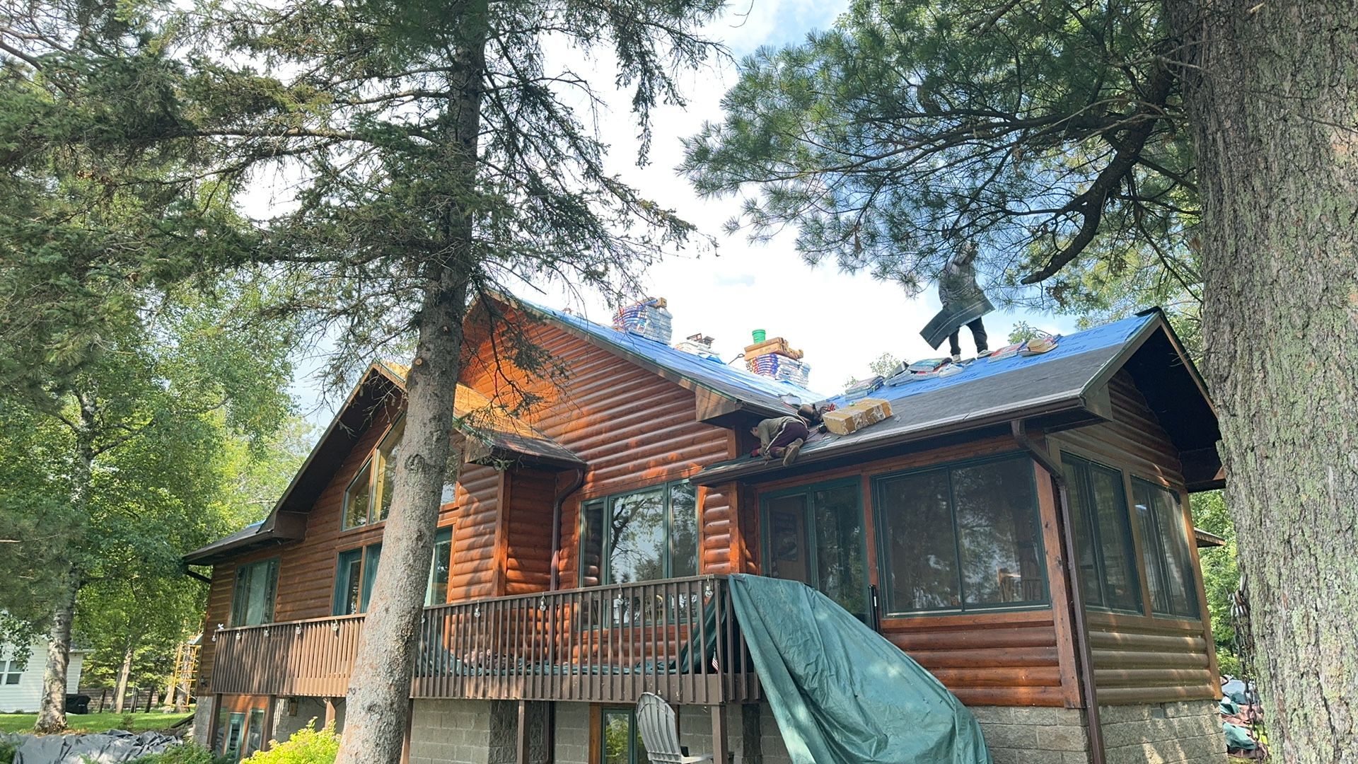 A log cabin with a blue tarp on the roof is surrounded by trees.