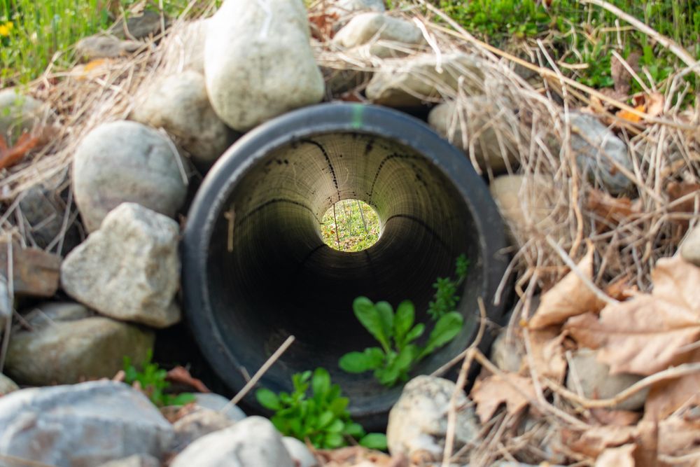 A black pipe is surrounded by rocks and leaves.