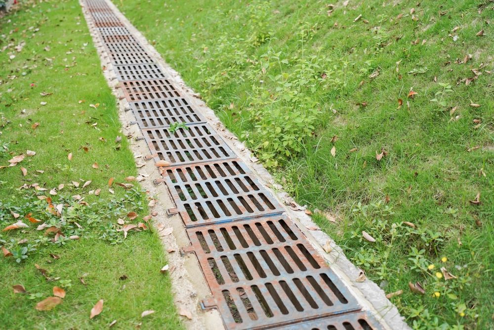 A manhole cover on the side of a road in a park.