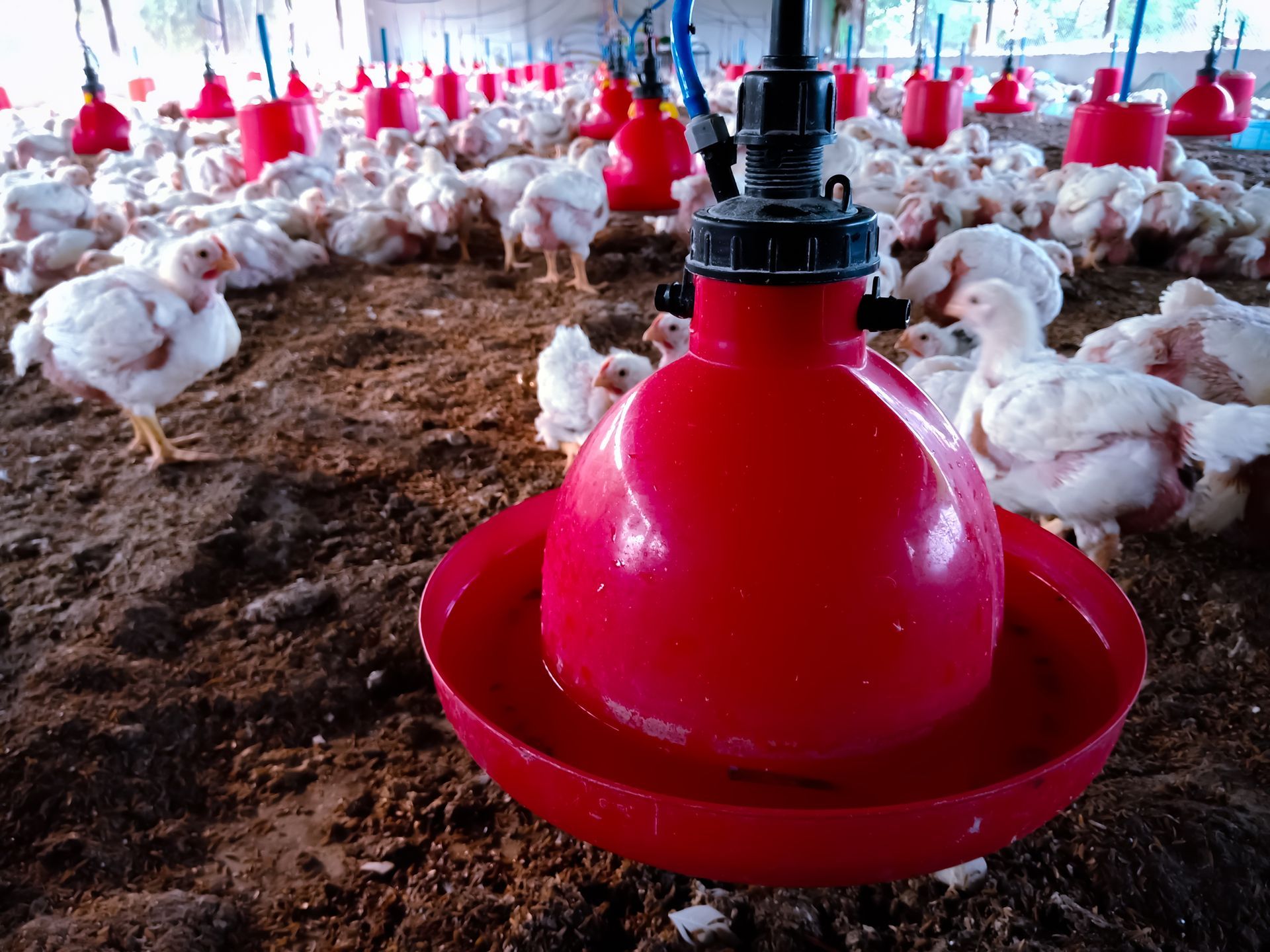 Livestock Water — Lincoln, NE — Harper Well & Plumbing Inc.