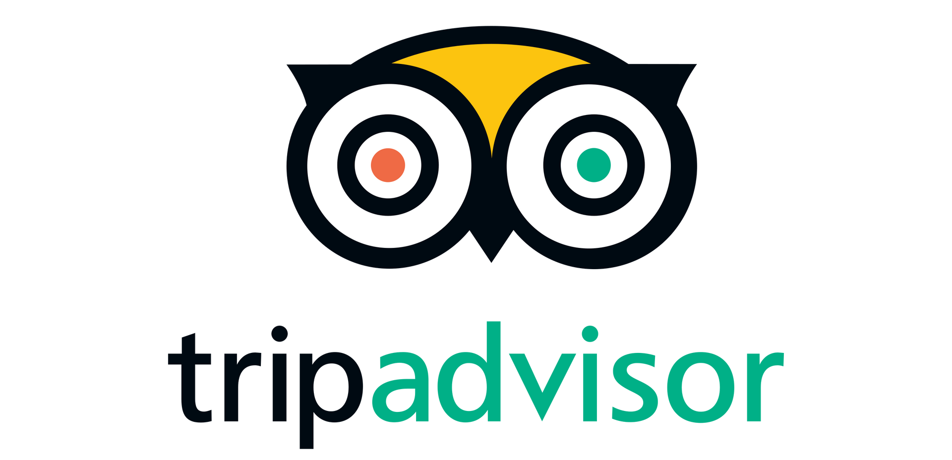 Tripadvisor Reviews