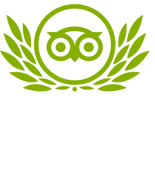 Tripadvisor Reviews