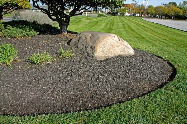 A large rock is sitting in the middle of a lush green lawn.