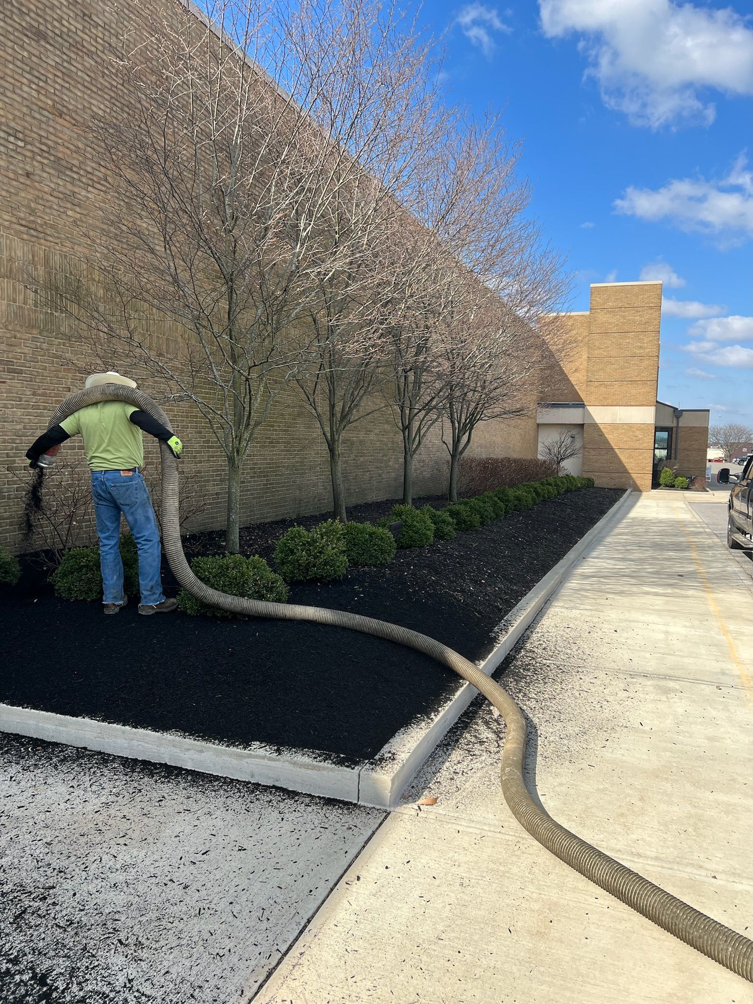 A man is standing next to a hose in a bed of shrubs and black mulch 