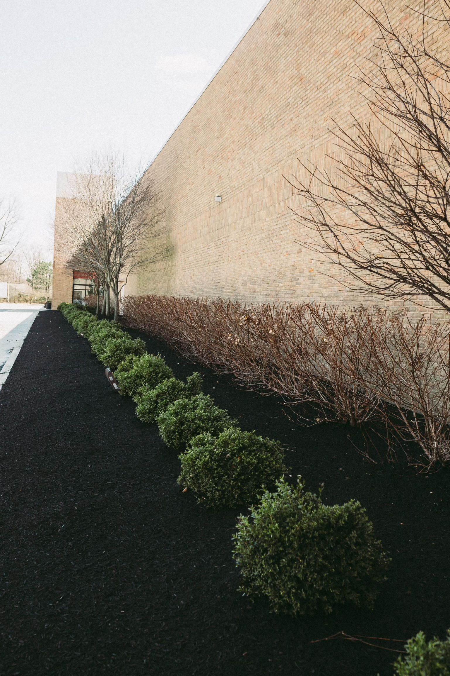 A row of bushes and shrubs with black mulch along a sidewalk in front of a building.