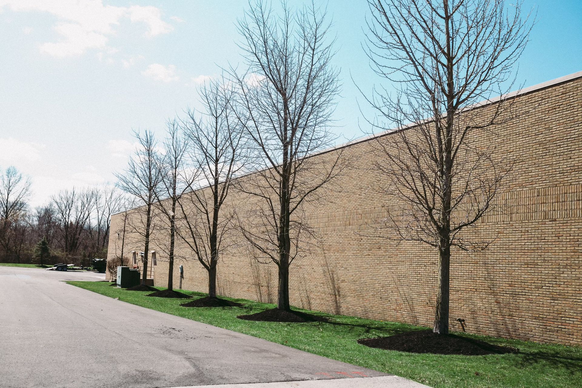 A row of trees are lined up in front of a large brick wall.