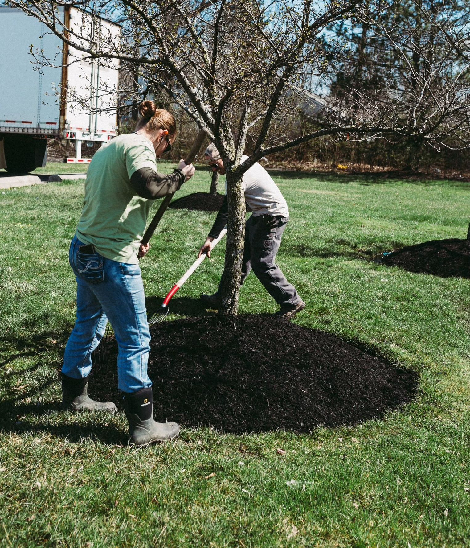 Two people are working on a tree in a park