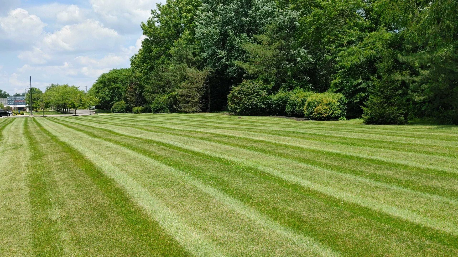 A lush green lawn with striped grass and trees in the background.