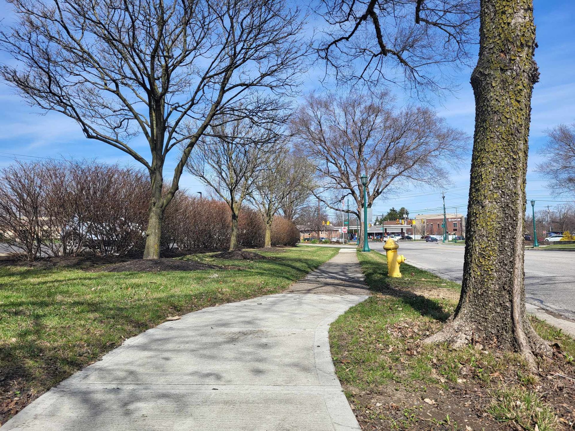 A concrete walkway going through a park with trees and a yellow fire hydrant.