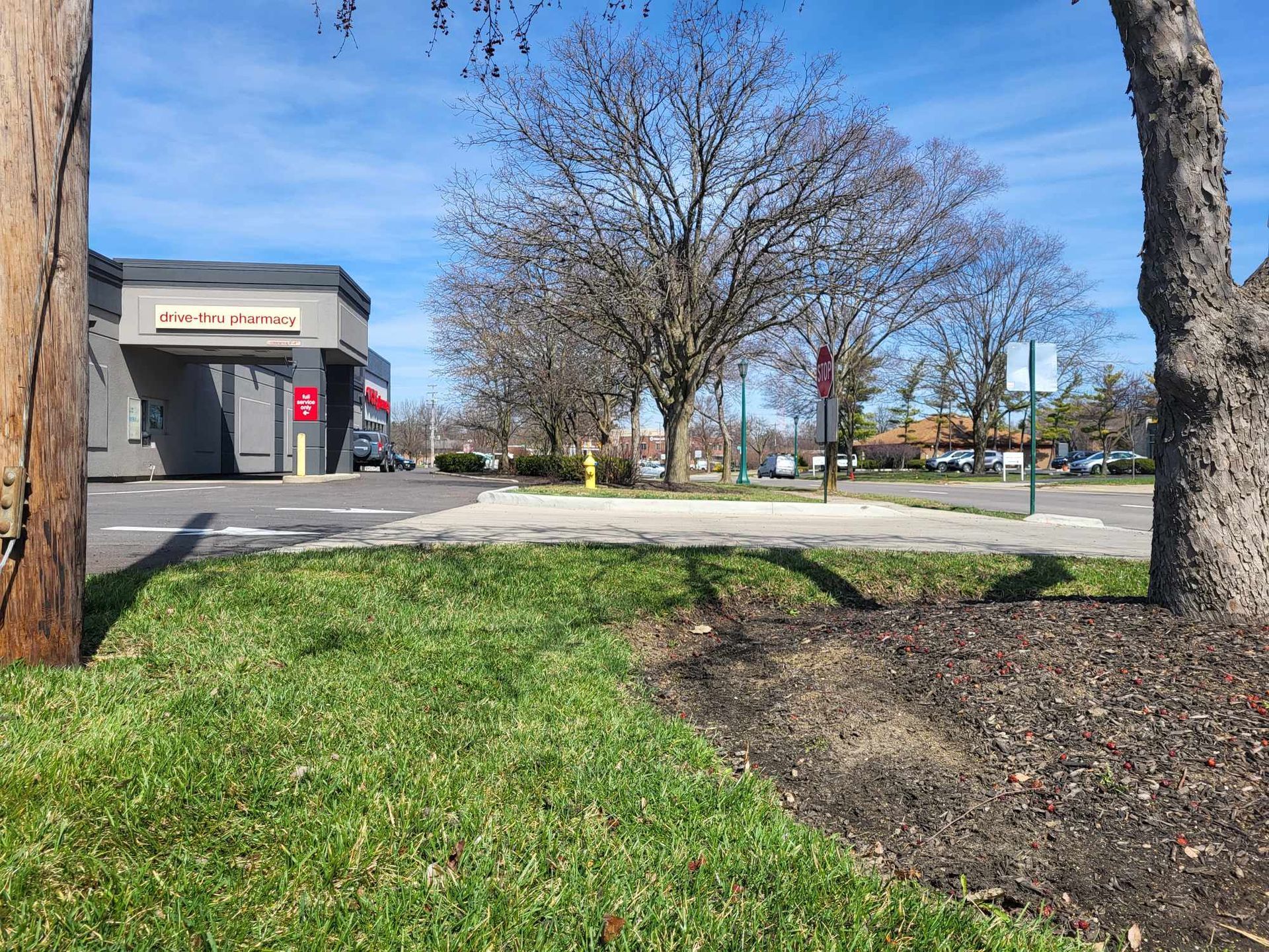 A parking lot with a tree in the foreground and a building in the background.