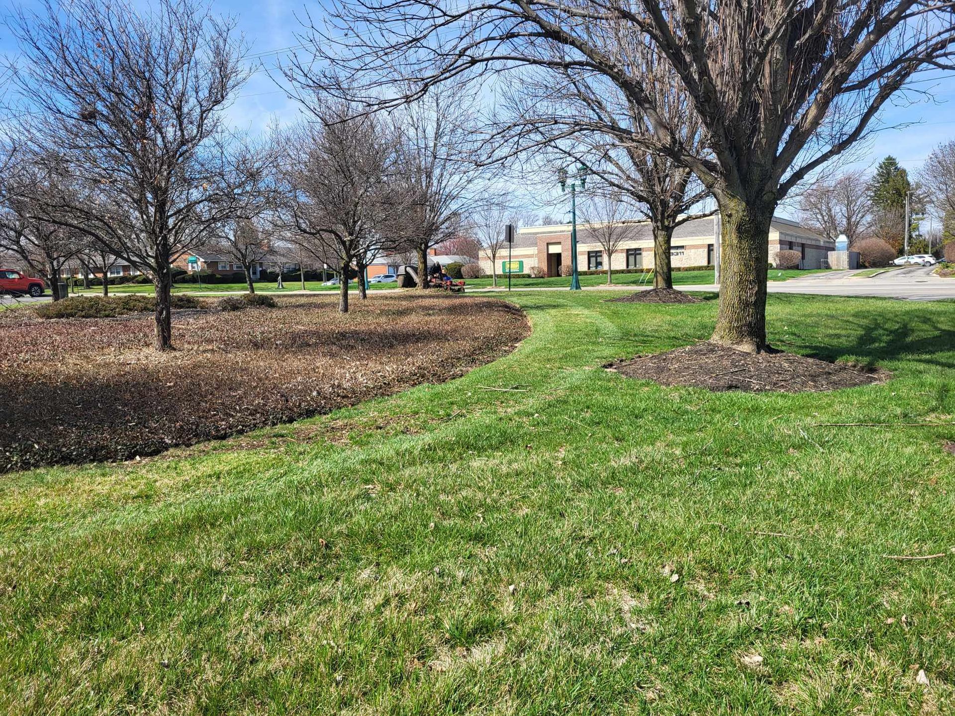 A lush green park with trees and a building in the background.