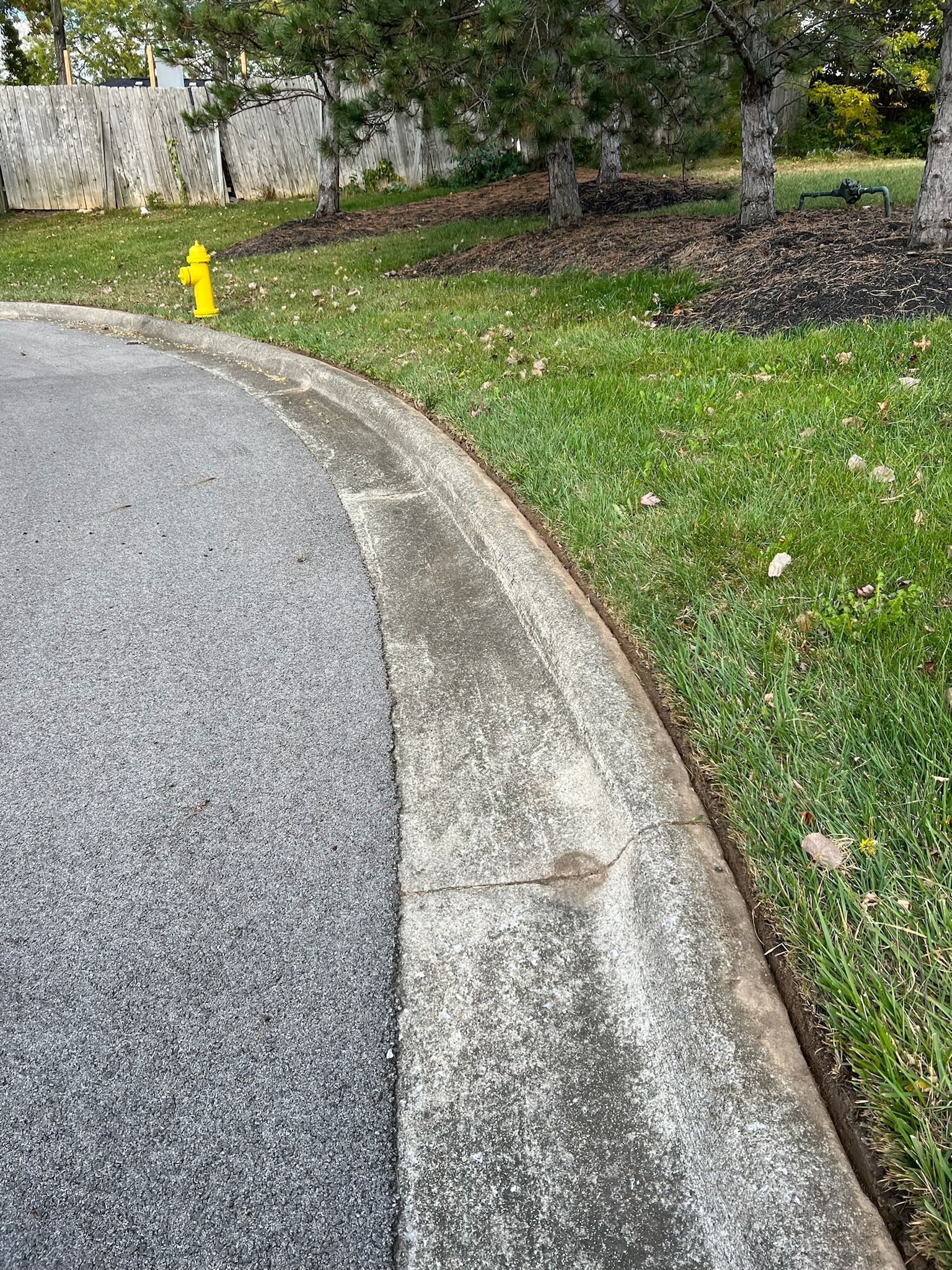 There is a yellow fire hydrant on the side of the road in grass area