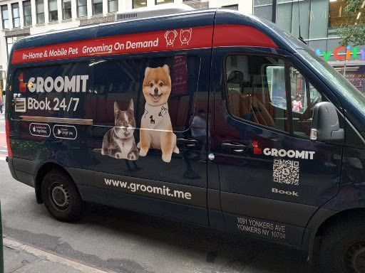 A van with a dog and a cat on it is parked on the side of the road.
