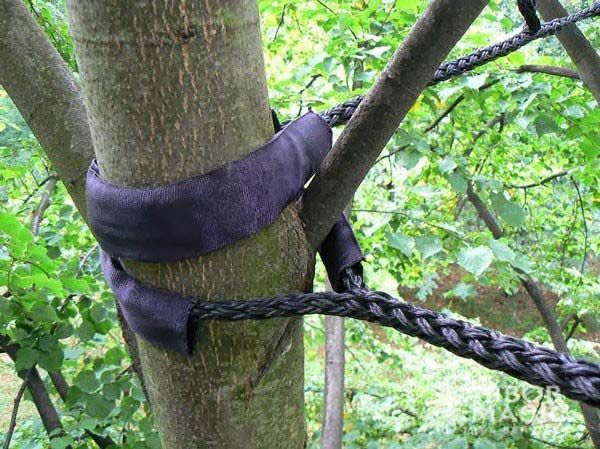 tree care services and safety with cabling