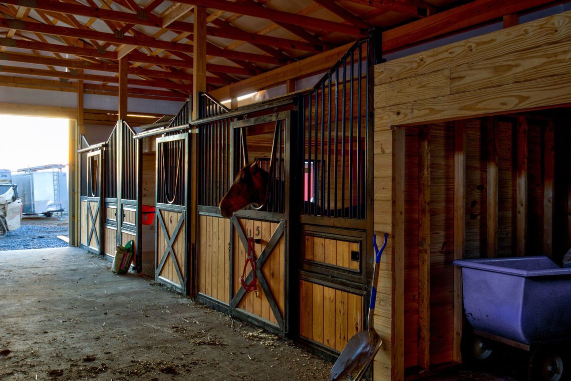 Custom Amish Horse Barns
