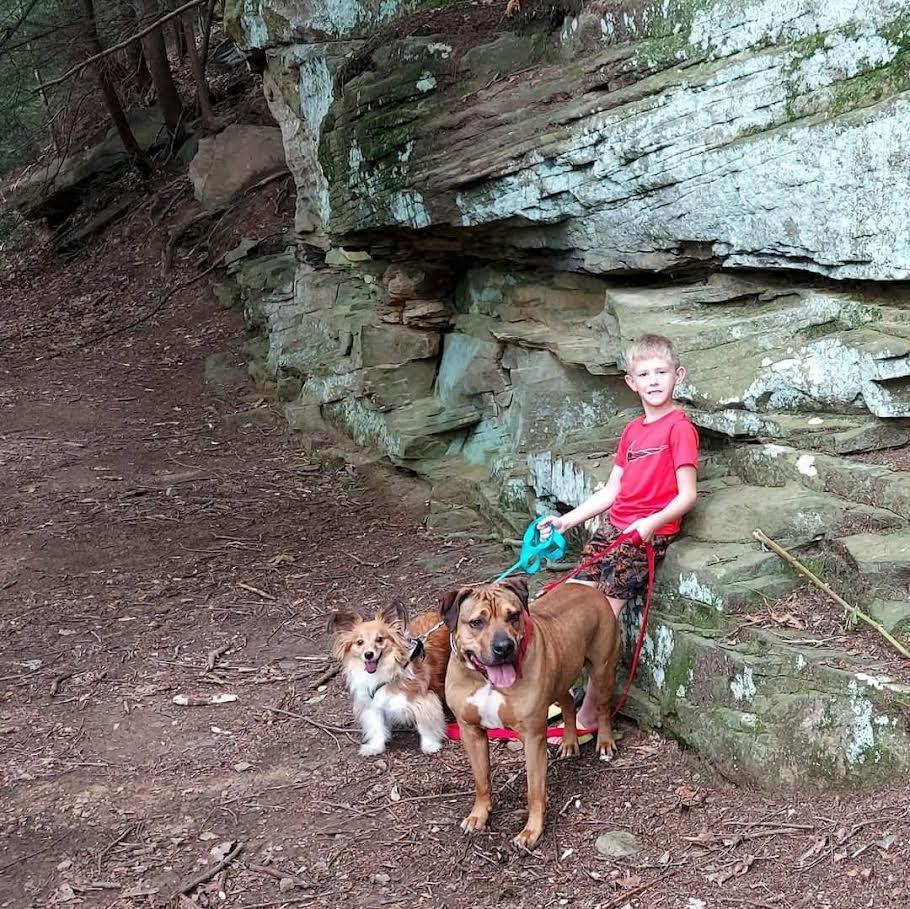 A boy is sitting on a rock with two dogs.