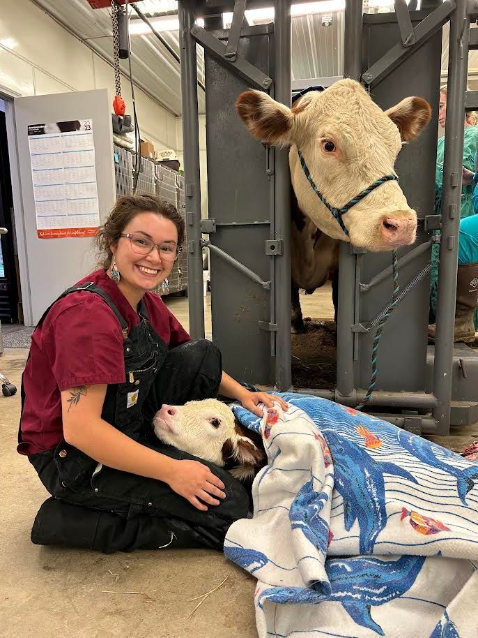 A woman is kneeling down next to a cow and a calf.