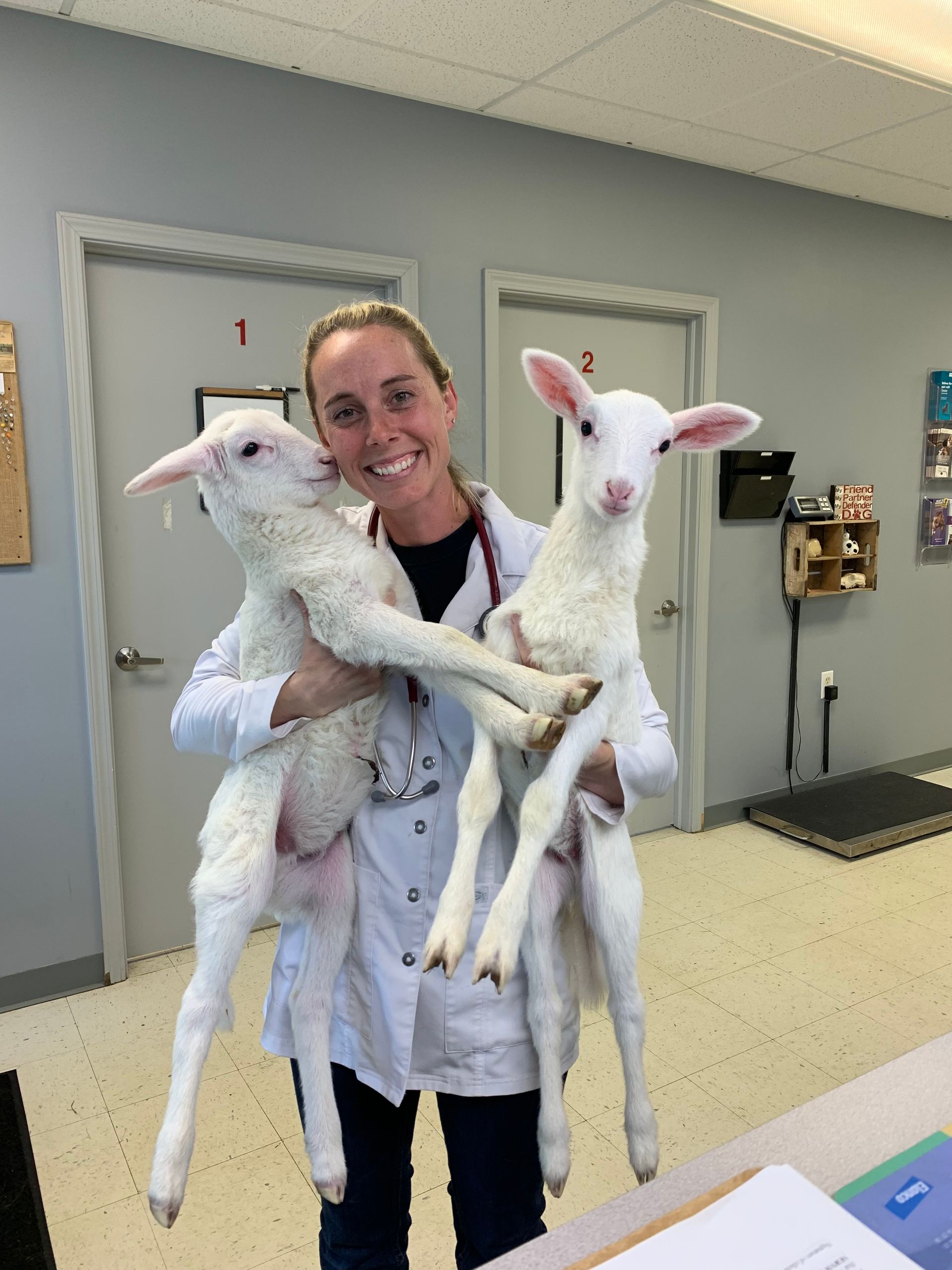 Dr. Amy Chronister Veterinary Sunny Ridge Vet Columbiana Ohio