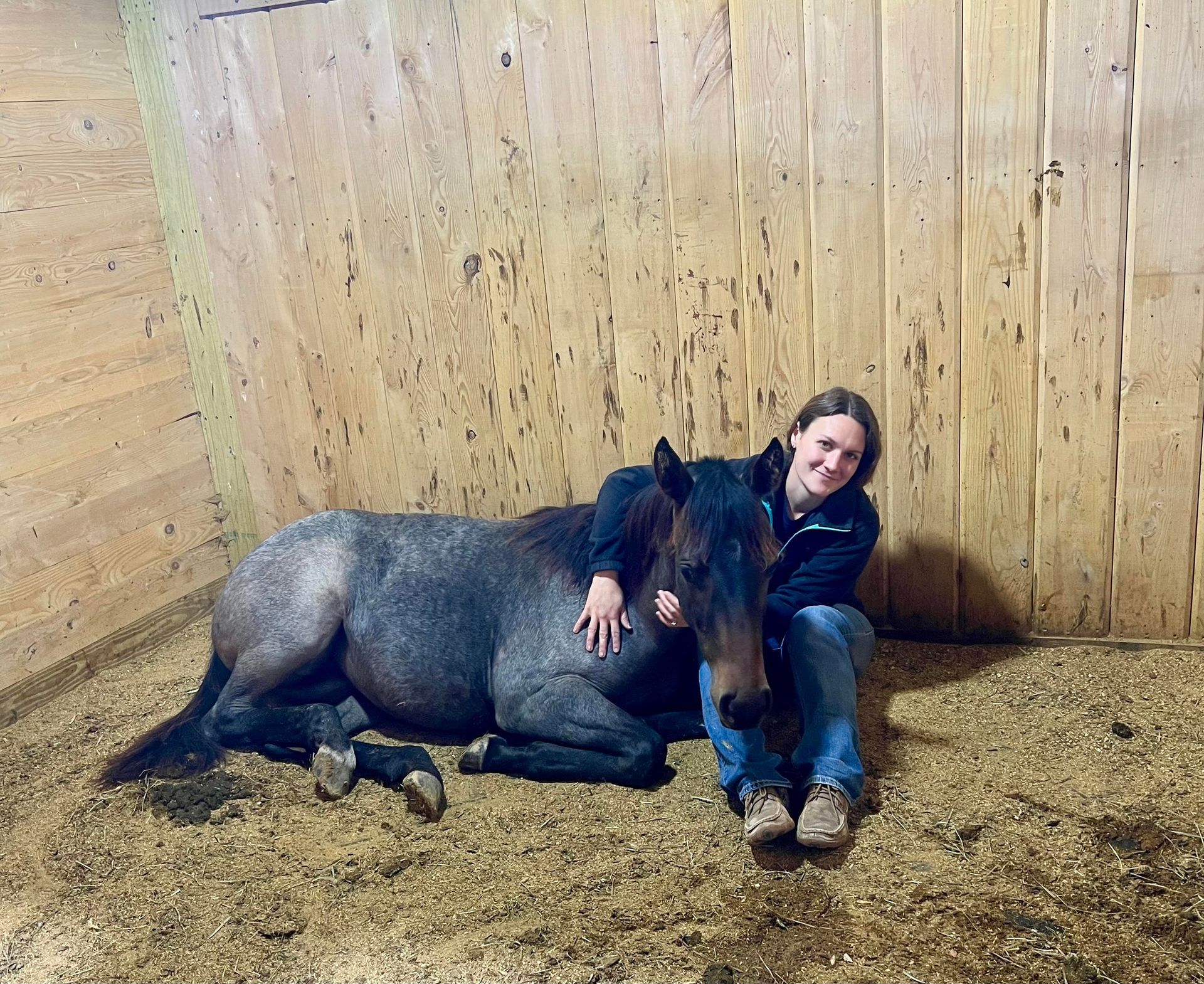 Sunny Ridge Vet Columbiana Ohio horse lameness equine reproduction.