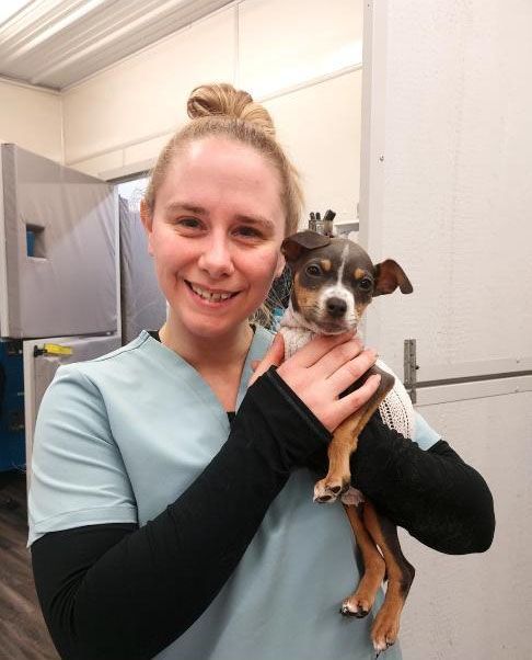 Lead RVT & Inventory Manager