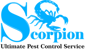 Scorpion Pest Control