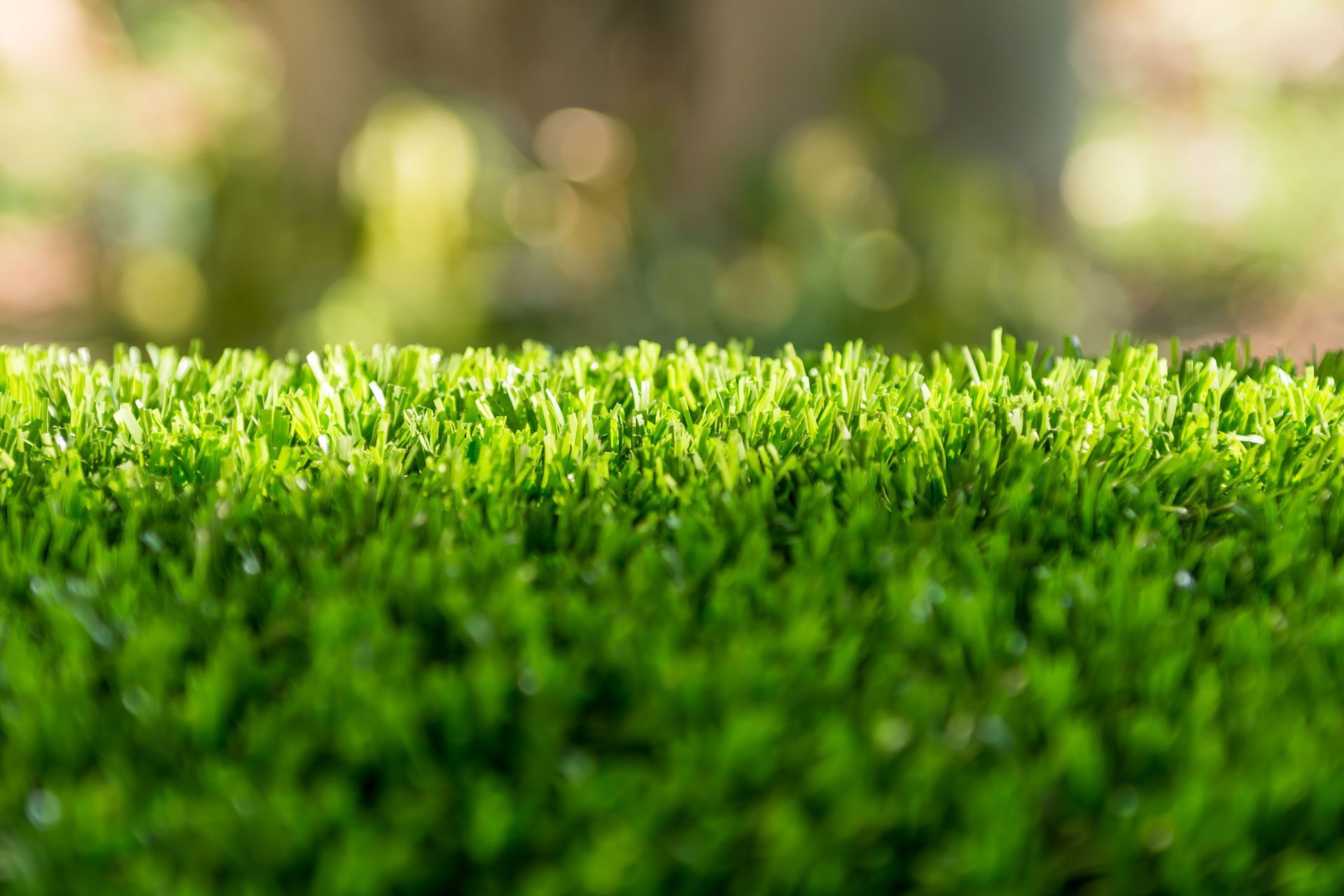 A close up of a patch of green grass with a blurry background