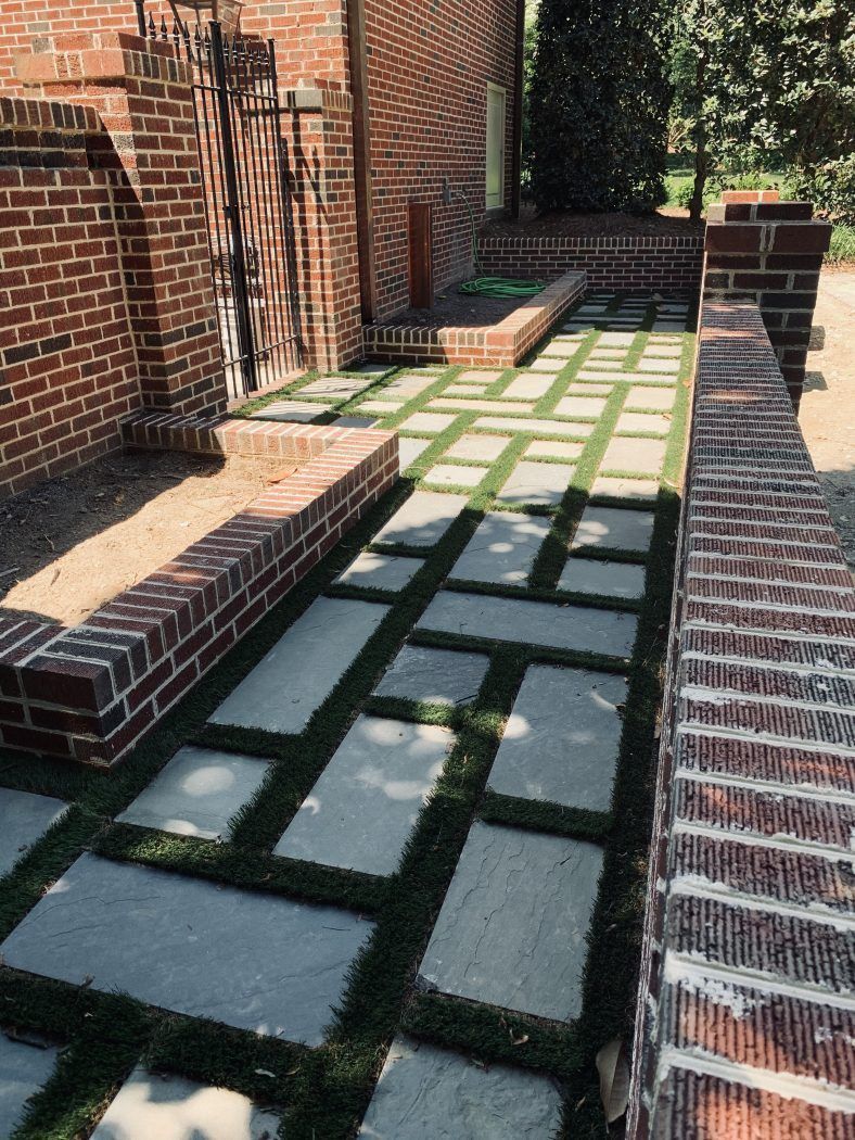 A dog is standing on a sidewalk in front of a brick building