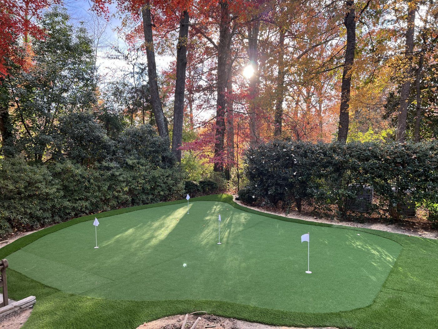 A putting green in the middle of a forest with trees in the background