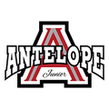 Logo for league