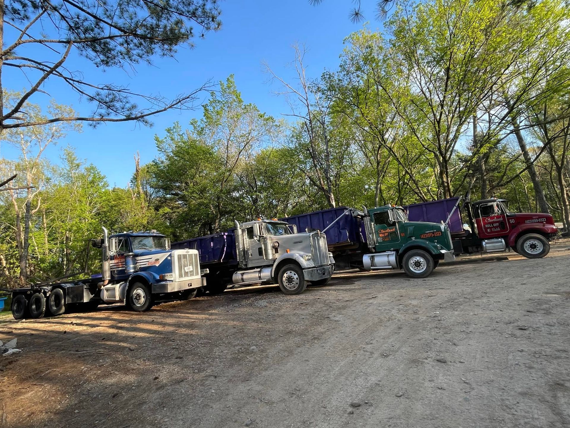 Four semi trucks parked in a wooded area on a sunny day.